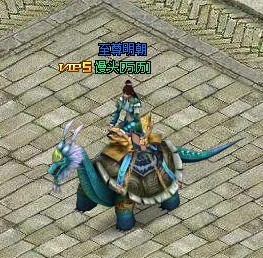 多少级可以杀7坐骑 20110707070333409.jpg